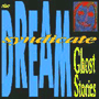 THE DREAM SYNDICATE 「GHost Stories」