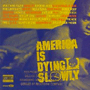 V.A.　「America Is Dying Slowly」