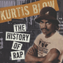 V.A. 「Kurtis Blow Presents The History Of Rap」