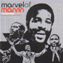 V.A. 「Marvel Of Marvin」