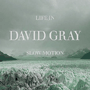DAVID GRAY 「Life In Slow Motion」