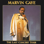 MARVIN GAYE 「The Last Concert Tour」